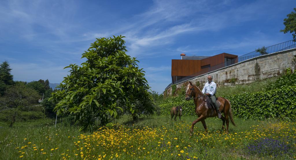 Вилла Quinta Do Fontelo Возела Экстерьер фото