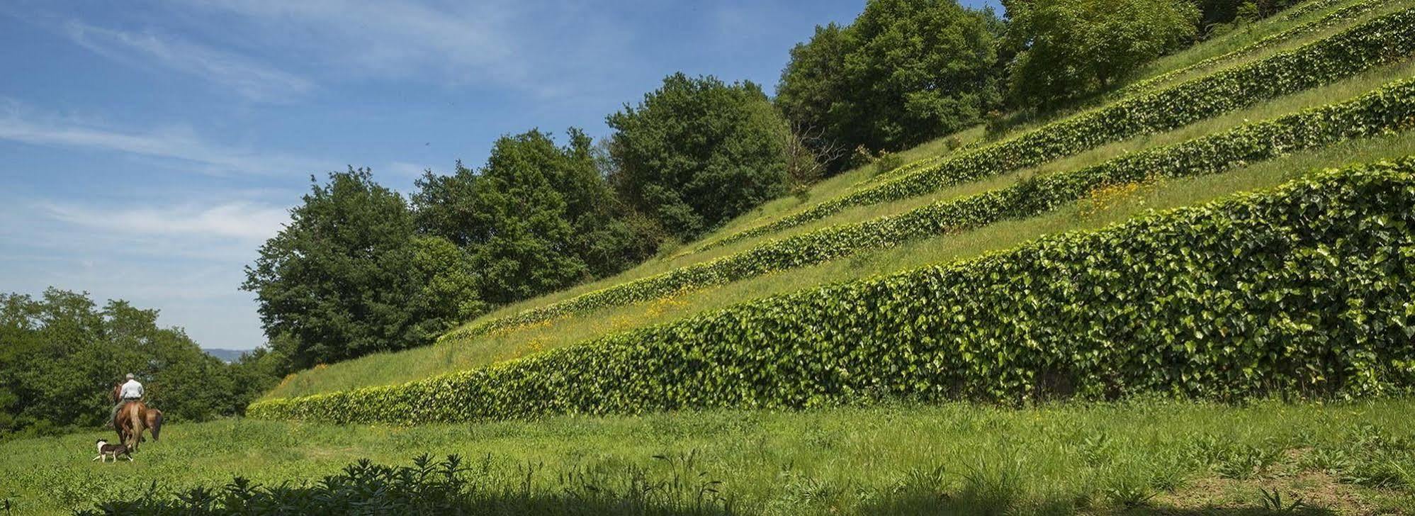 Вилла Quinta Do Fontelo Возела Экстерьер фото