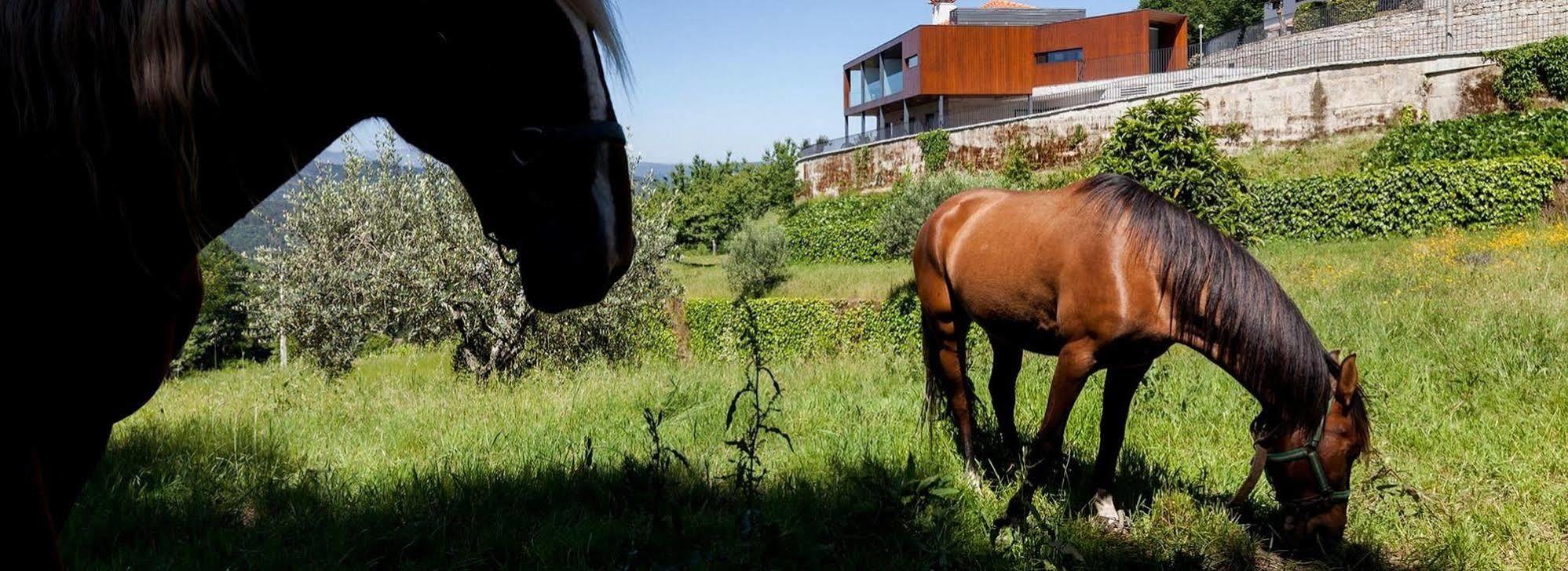 Вилла Quinta Do Fontelo Возела Экстерьер фото