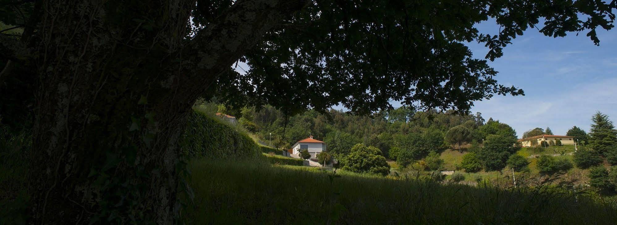 Вилла Quinta Do Fontelo Возела Экстерьер фото